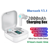 Bluetooth 5.1 Wireless Earphone