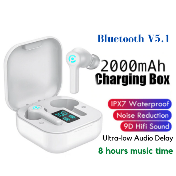 Bluetooth 5.1 Wireless Earphone